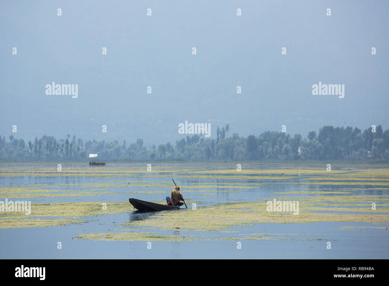 Traditional shikara boat on the Dal lake in Srinagar, Kashmir, India. Stock Photo
