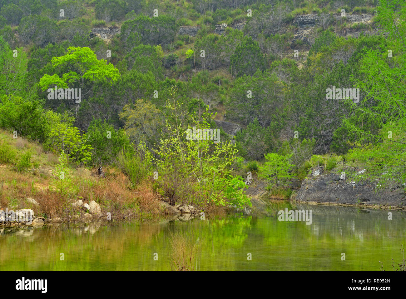 Flat Creek, Blanco County, Texas, USA Stock Photo