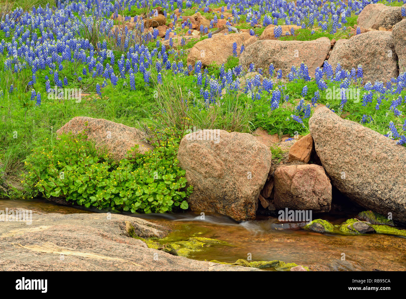 and rocks around Coal creek, Willow City Loop, Gillespie
