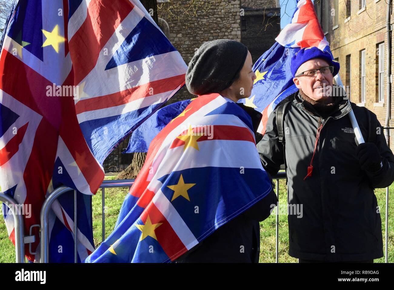 Westminster, London, UK. 8th Jan 2019. Pro EU Remainers demonstrated outside of the Houses of Parliament, Westminster, London.UK Credit: michael melia/Alamy Live News Stock Photo