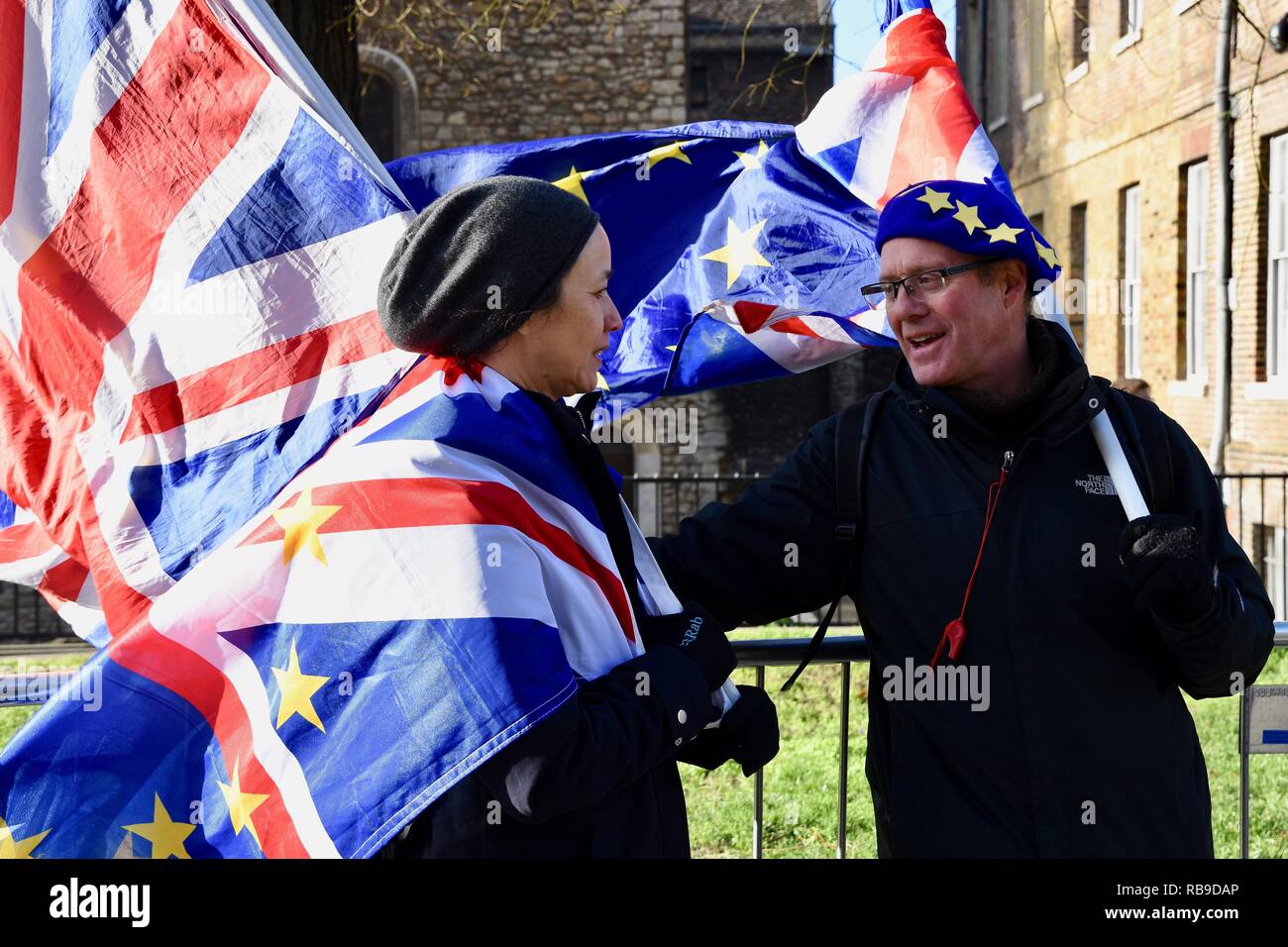 Westminster, London, UK. 8th Jan 2019. Pro EU Remainers demonstrated outside of the Houses of Parliament, Westminster, London.UK Credit: michael melia/Alamy Live News Stock Photo