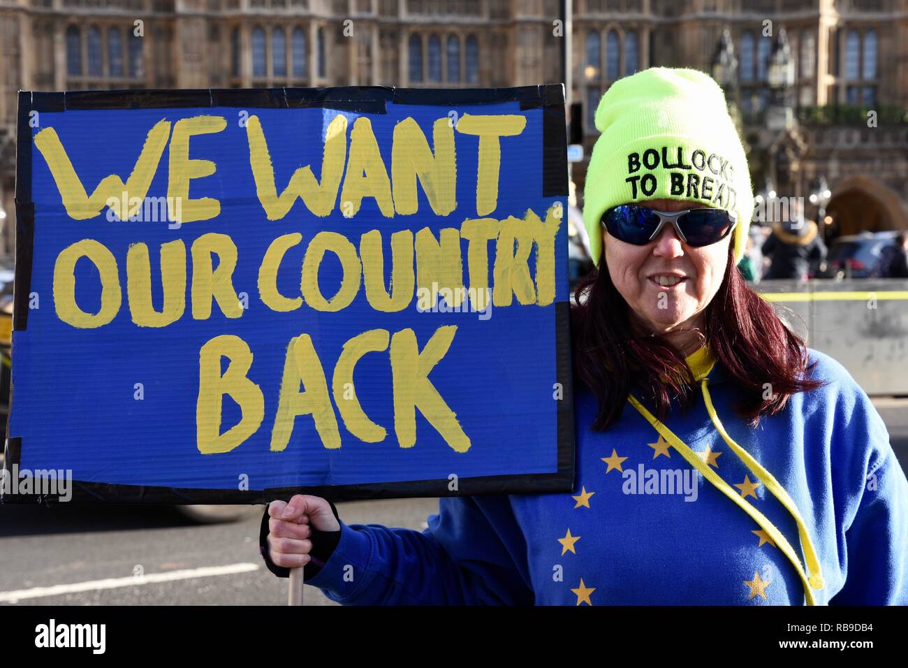 Westminster, London, UK. 8th Jan 2019. Pro EU Remainers Demonstrated outside of the Houses of Parliament, Westminster, London.UK Credit: michael melia/Alamy Live News Stock Photo