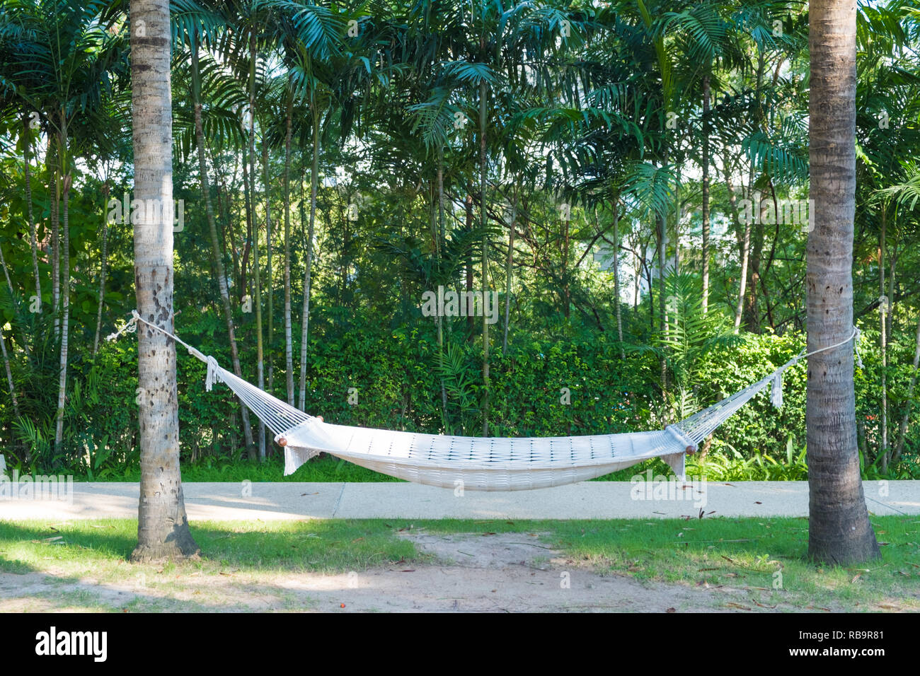 Sale > hammock between trees > in stock