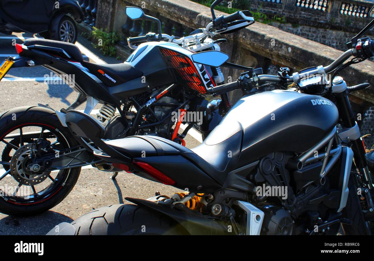 Ducati and Duke Stock Photo: 230711942 - Alamy