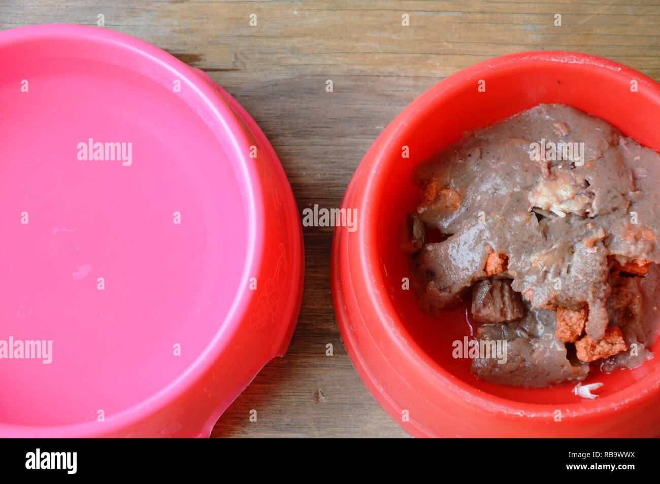cat wet food in red plastic bowl and clean water Stock Photo Alamy