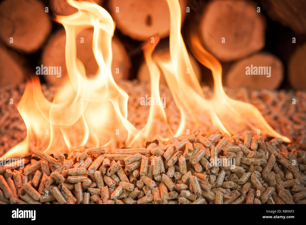 Oak pellets in flames - fire and pile of wood Stock Photo