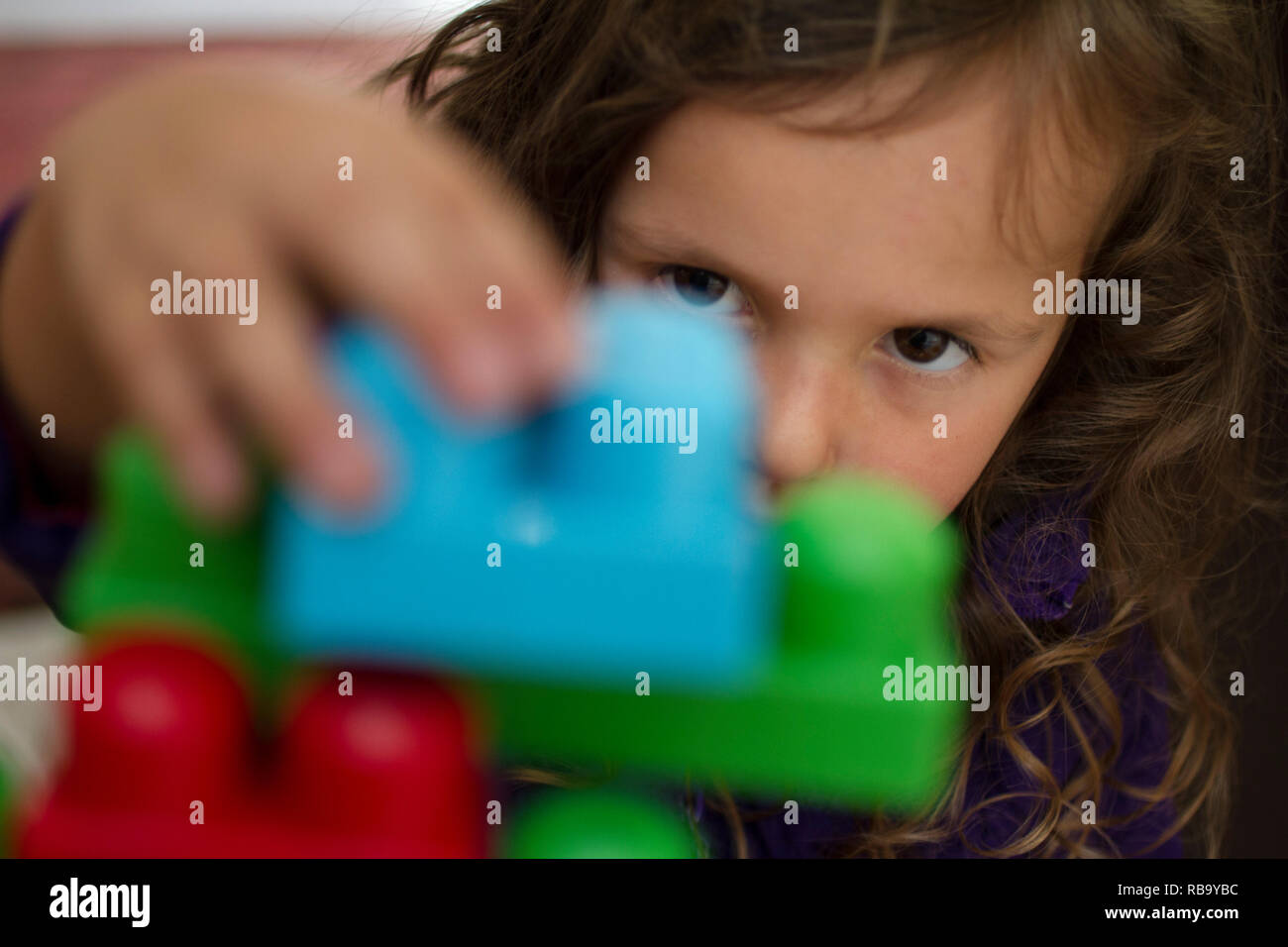 Young girl plays with plastic building blocks Stock Photo