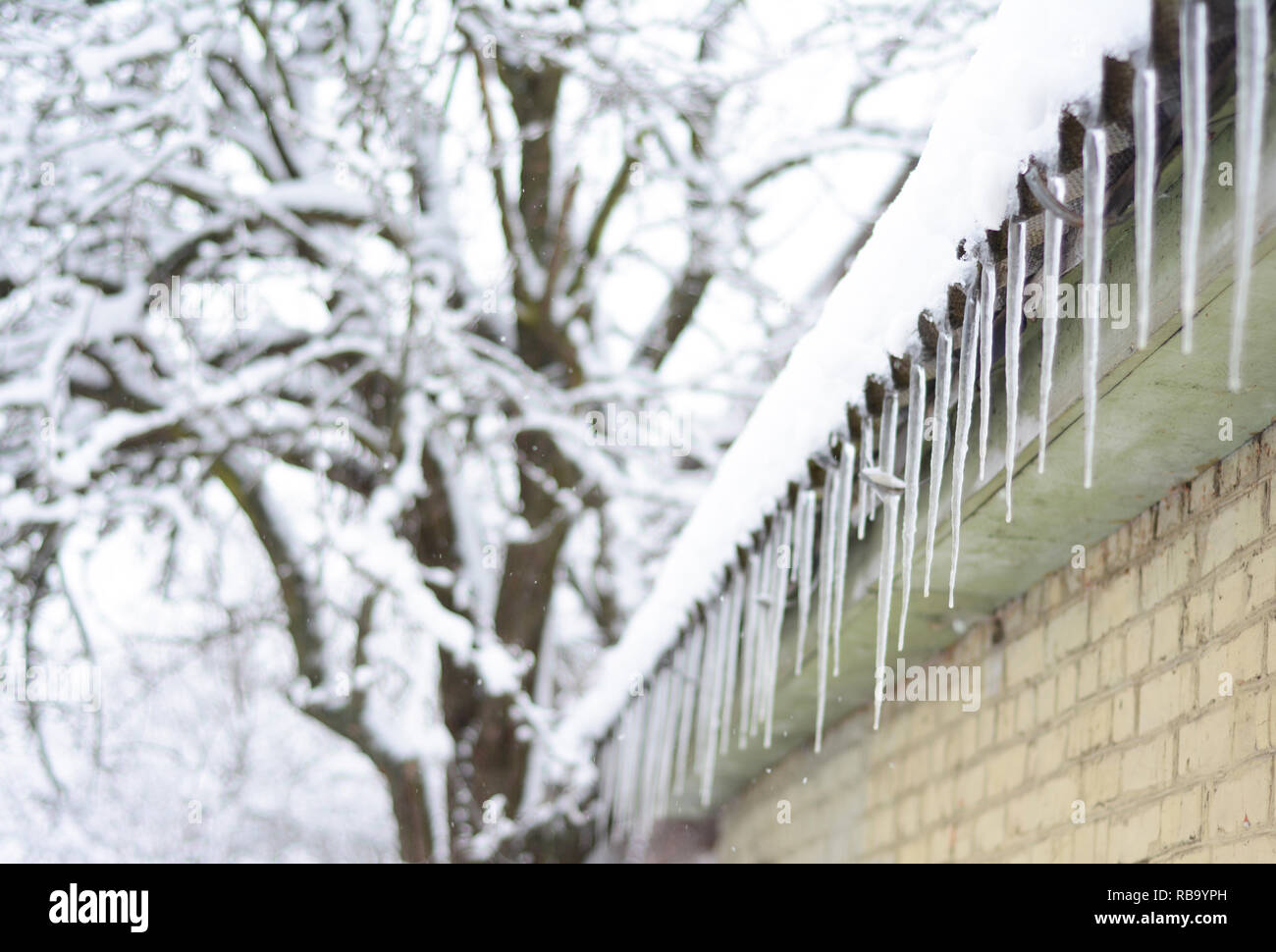 Icicles on house roof with snowing and blurred background. Beautiful winter scenery. Icicles house. Stock Photo