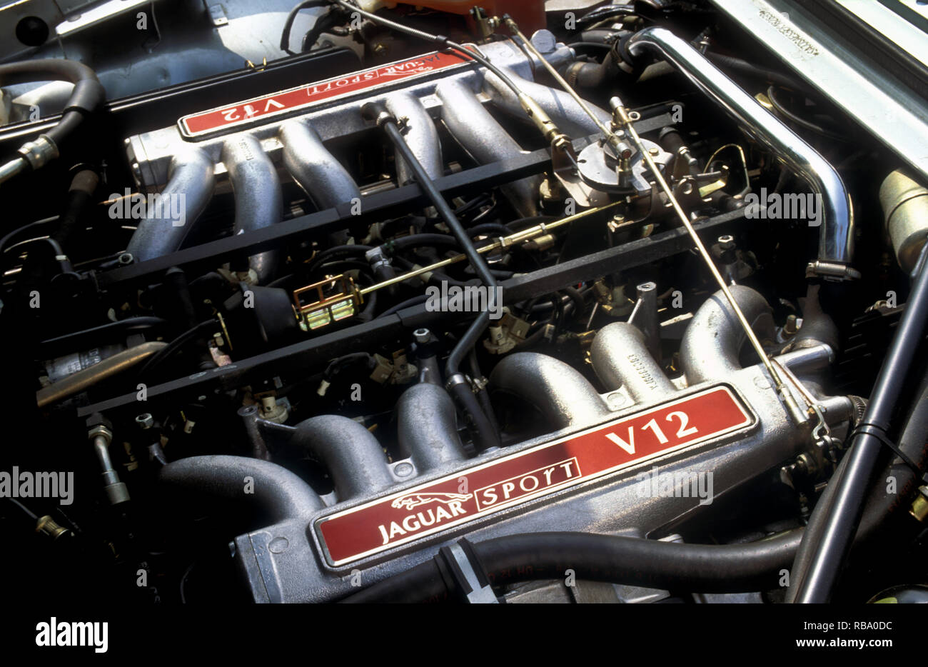 Jaguar Xjs Engine Bay