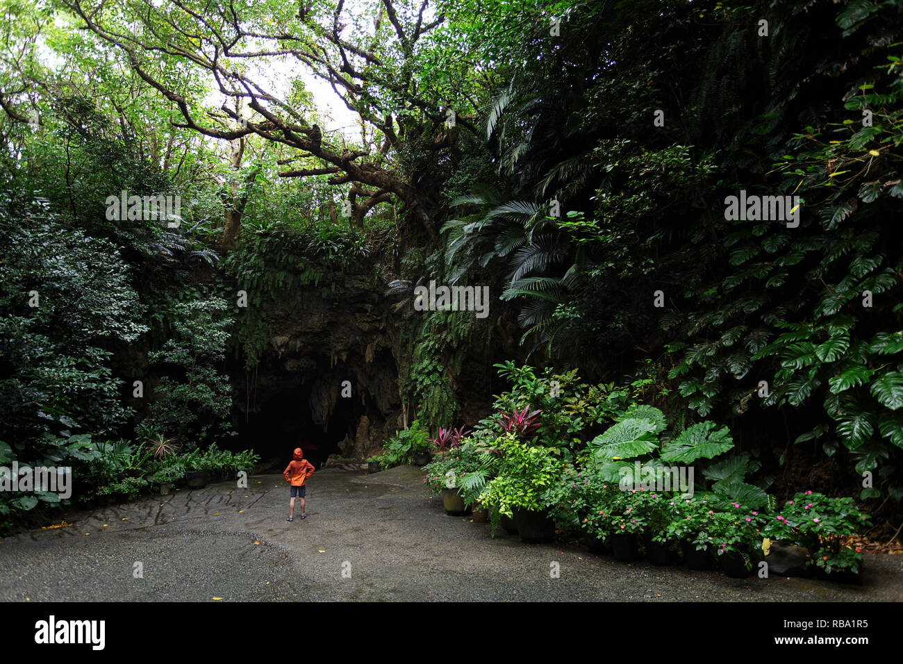 Ibaruma Sabichi Cave, Ishigaki, JApan Stock Photo