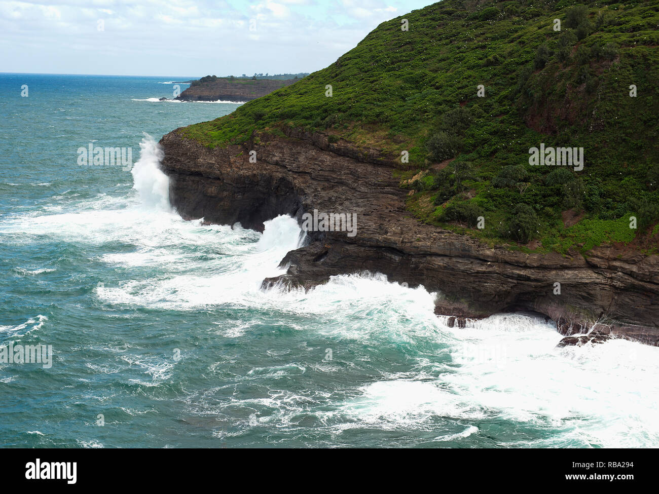 The cliffs of the Kilauea wildlife refuge dotted with sea birds. Kauai, Hawaii. Stock Photo