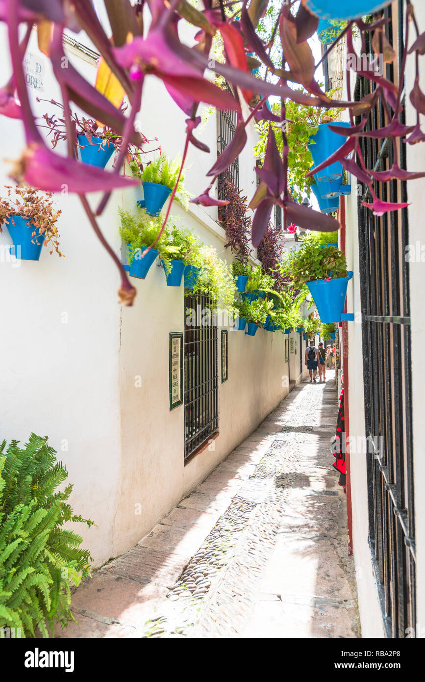 Tourists in the old alley of Calleja De Las Flores, Cordoba, Andalusia, Spain Stock Photo