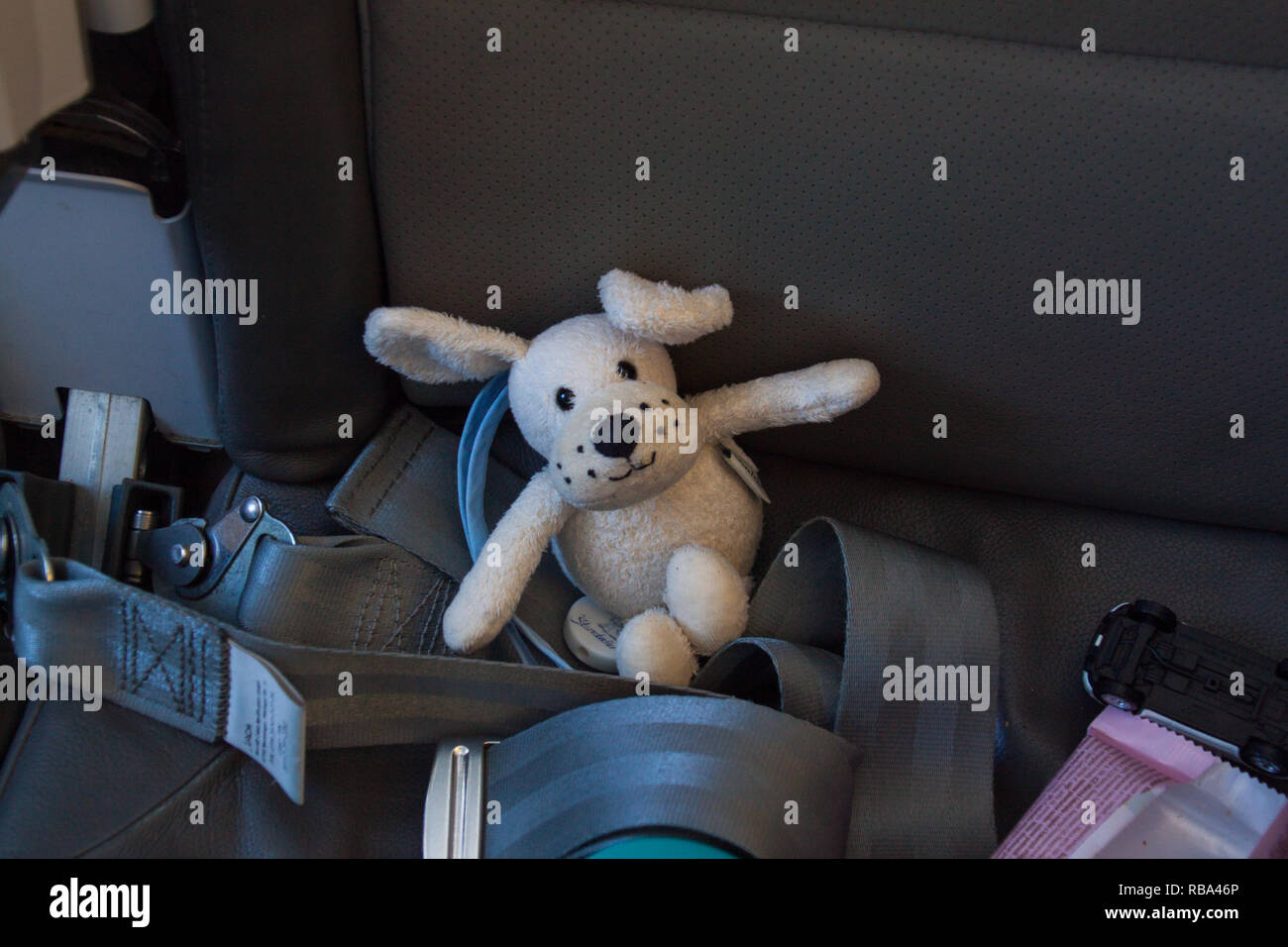 A sole toy dog laying on a plane seat Stock Photo