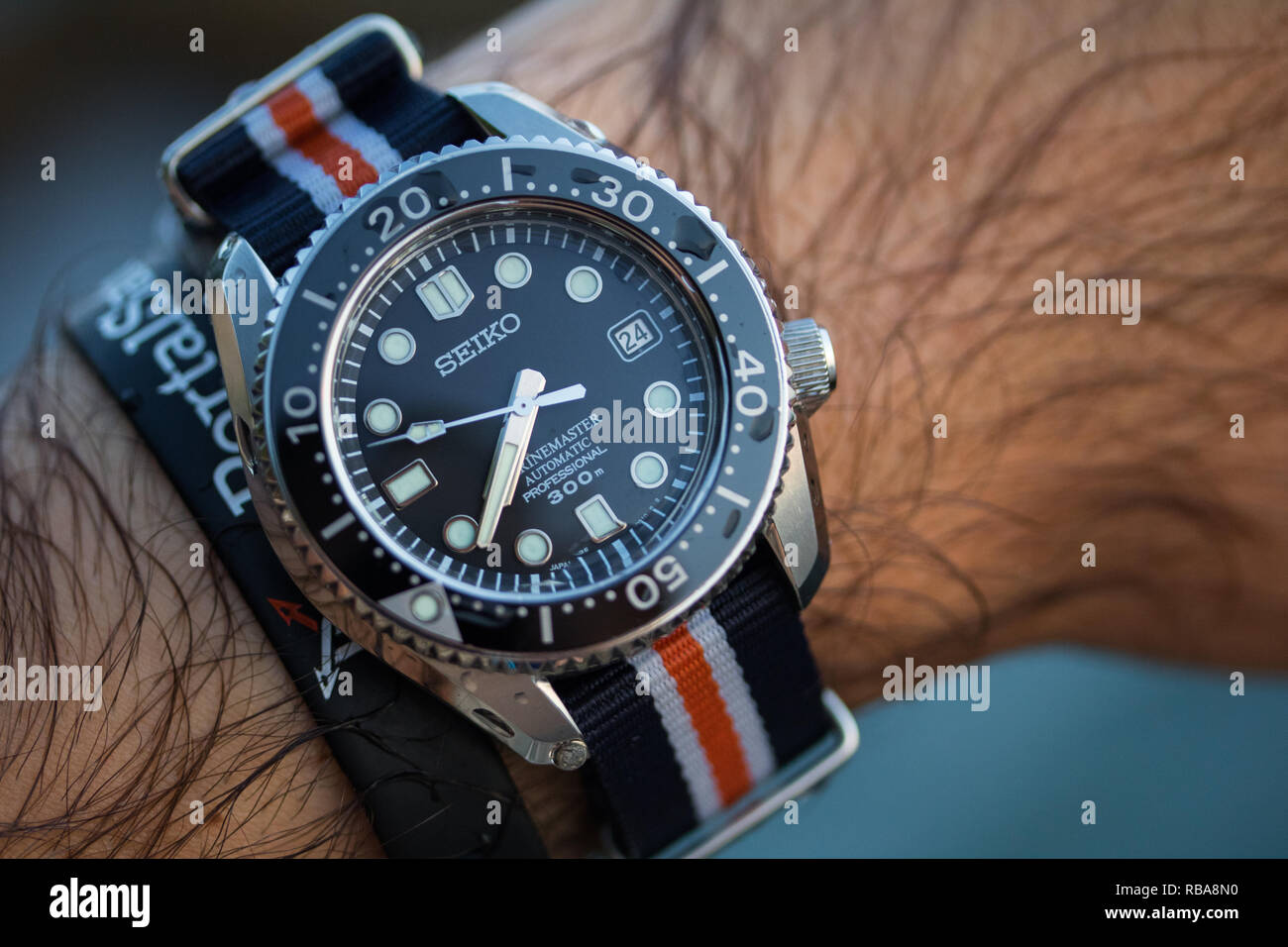seiko marinemaster batman