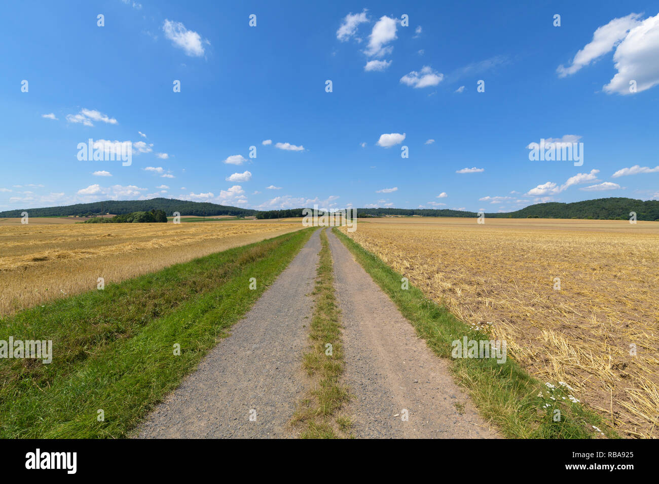 Gravel road with grain fields in summer, Grabfeld, Bavaria, Germany ...