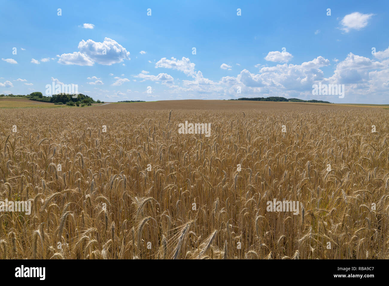 Grabfeld hi-res stock photography and images - Alamy