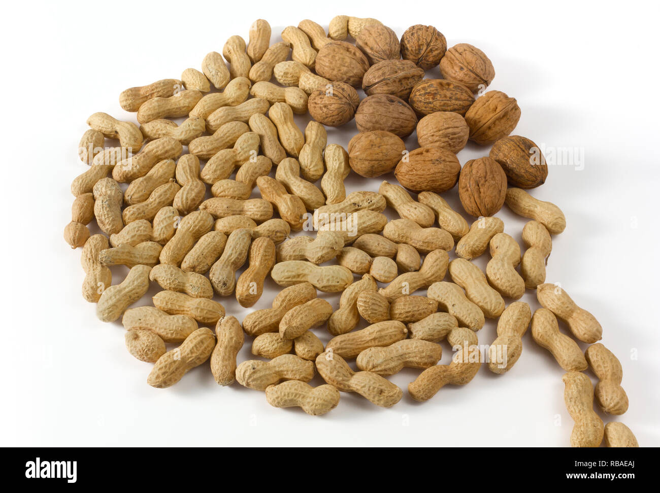 Peanuts and walnuts on a white background in the shape of a cartoon bubble Stock Photo