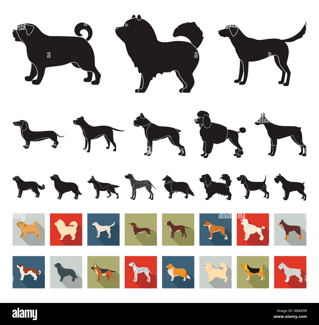 animal,beagle,bernard,black,flat,boxer,breed,breeding,breeds,bull,care,carnivorous,chao-chao,collection,collie,concept,dachshund,dalmatian,decorative,design,different,doberman,dog,element,eps,face,gray,hair,icon,illustration,isolated,labrador,logo,mammal,mittelschnauzer,official,paw,pet,pikines,pit,poodle,pug,retriever,set,shepherd,sign,symbol,vector,web,white Vector Vectors , Stock Vector