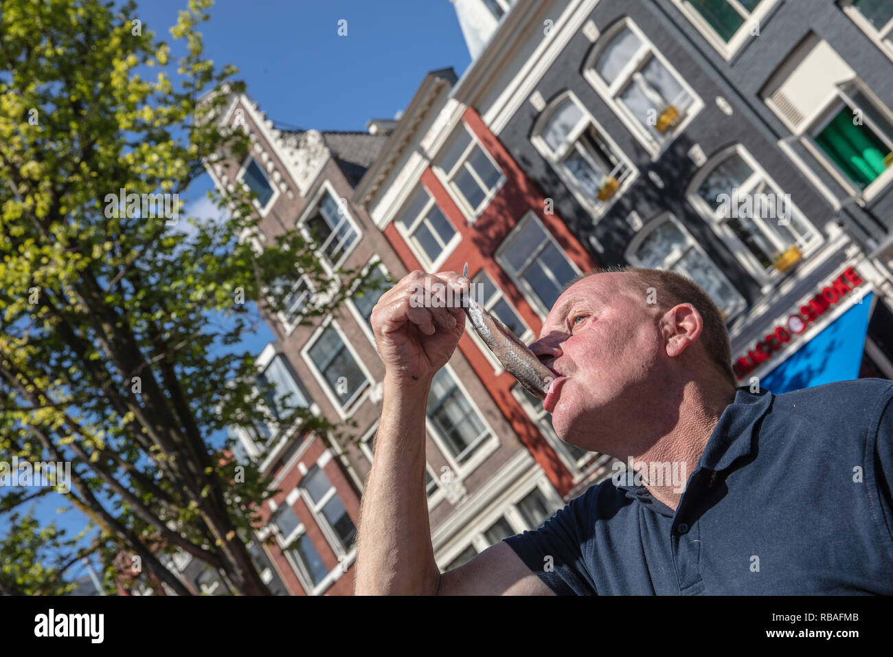 The Netherlands, Amsterdam. Man eating fresh, raw herring the Dutch way