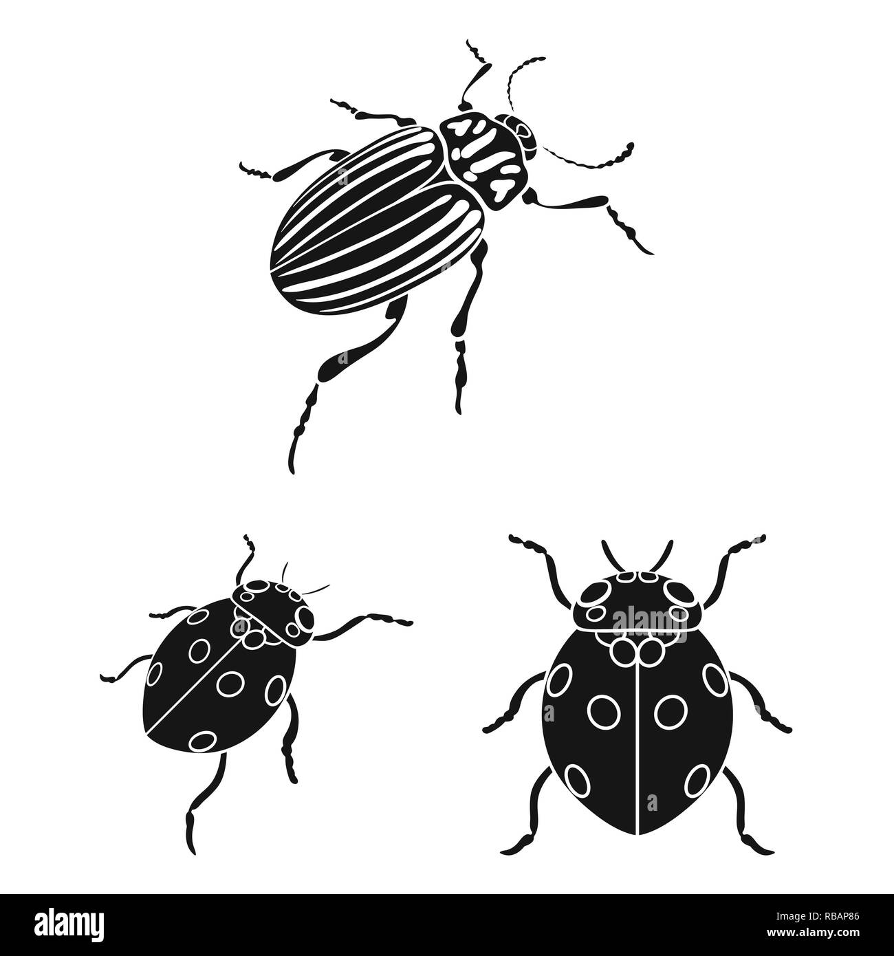 horn,ladybug,pest,bug,cockroach,insect,beetle,animal,halloween,drawn,tattoo ,nature,botanical,antenna,set,vector,icon,illustration,isolated,collection,design,element,graphic,sign, black,simple, Vector Vectors Stock Vector Image & Art - Alamy