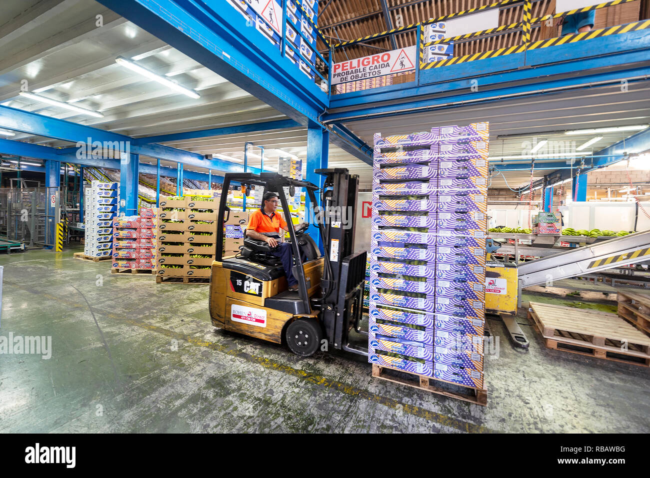Tenerife, Spain - January 3, 2018 : Operator with a forklift in banana packaging factory in Tenerife, Canary islands Spain Stock Photo