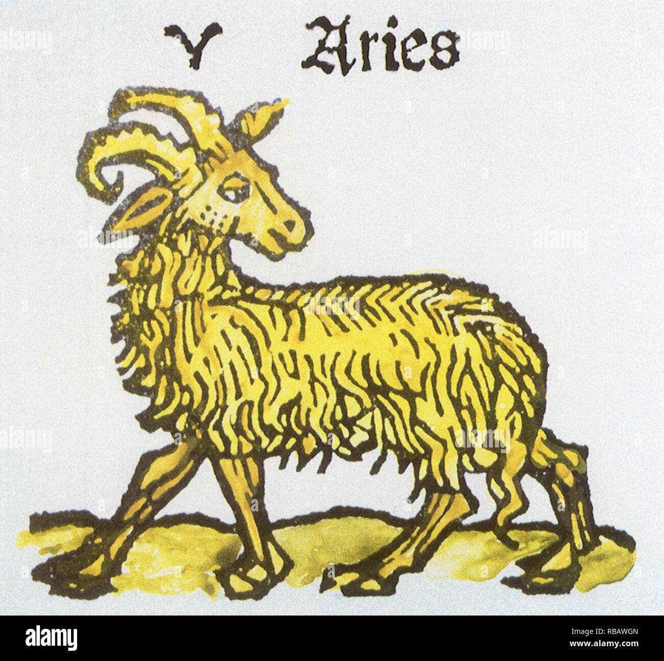 Aries the Ram Stock Photo Alamy