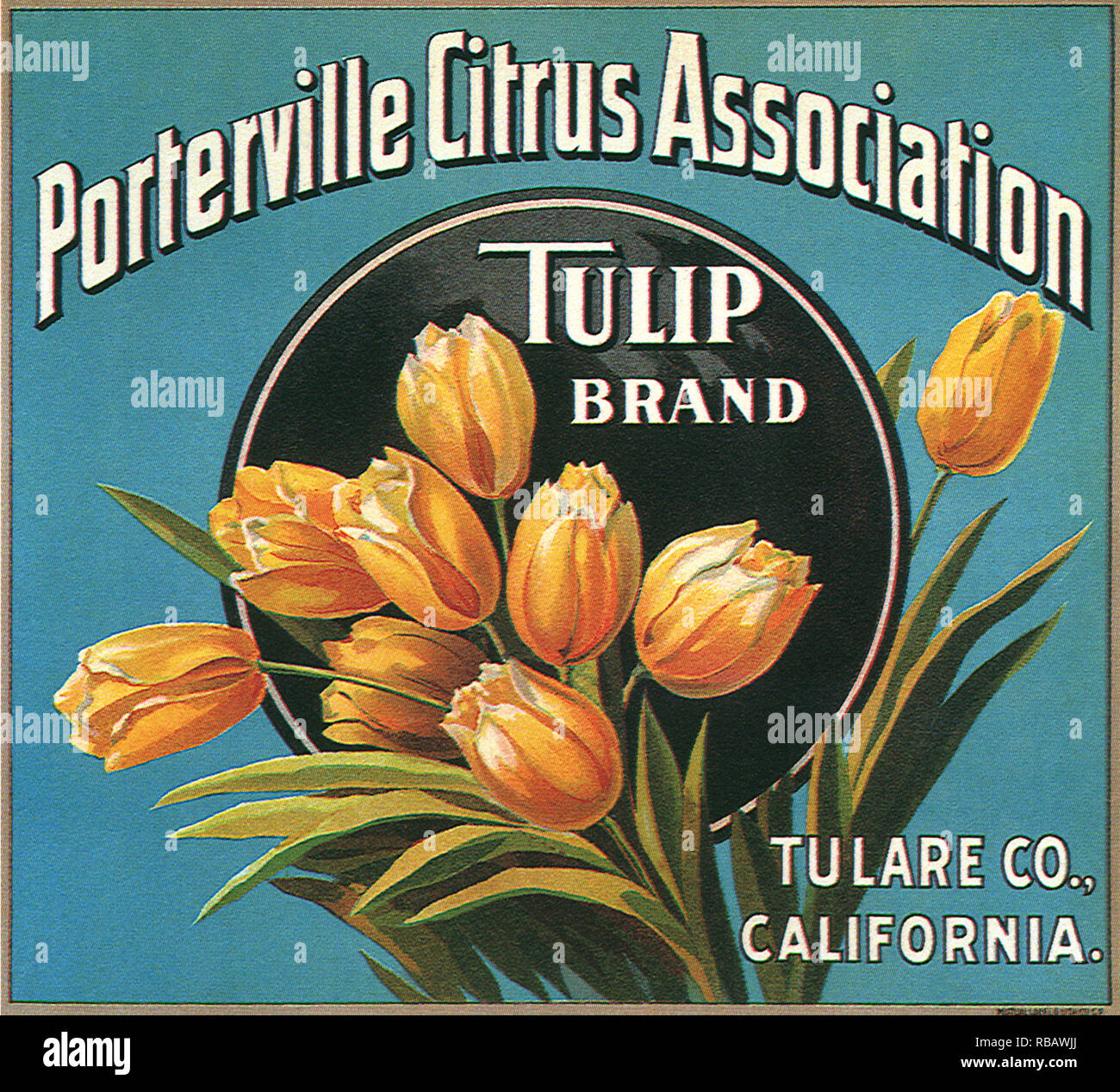 Tulips on Label. Stock Photo