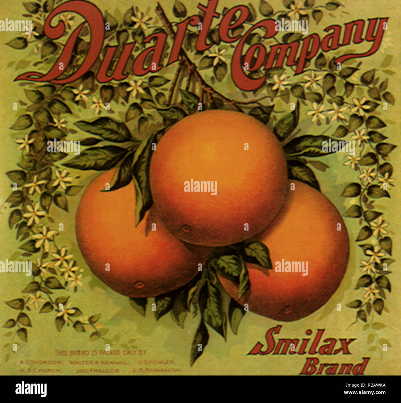 Orange Fruit Label Stock Photo Alamy