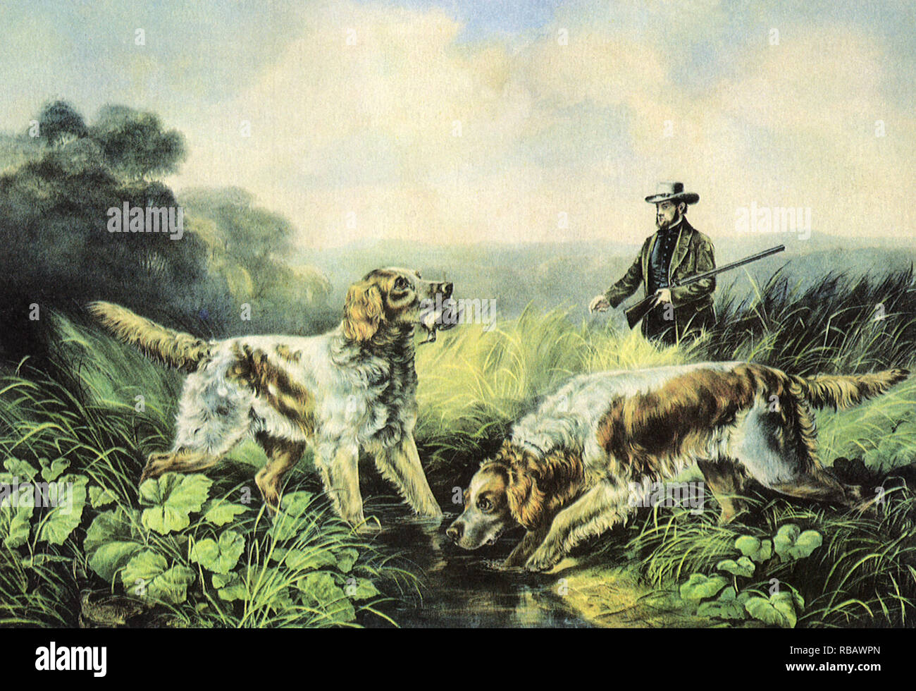 Hunting Dogs. Stock Photo