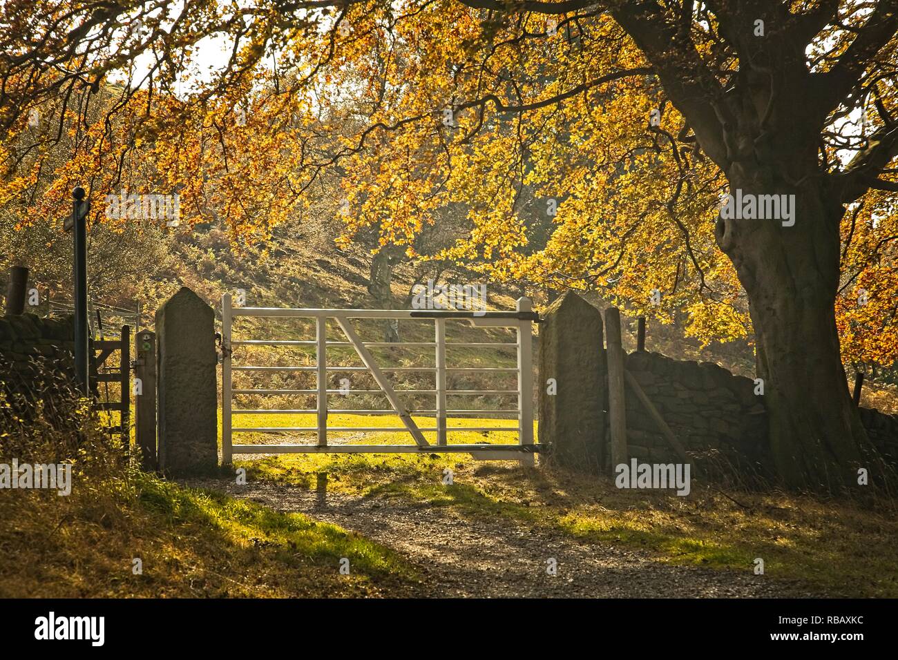 THE GATE OUT OF THE WOODS, LONGSHAW ESTATE, PEAK DISTRICT NATIONAL PARK, UK Stock Photo