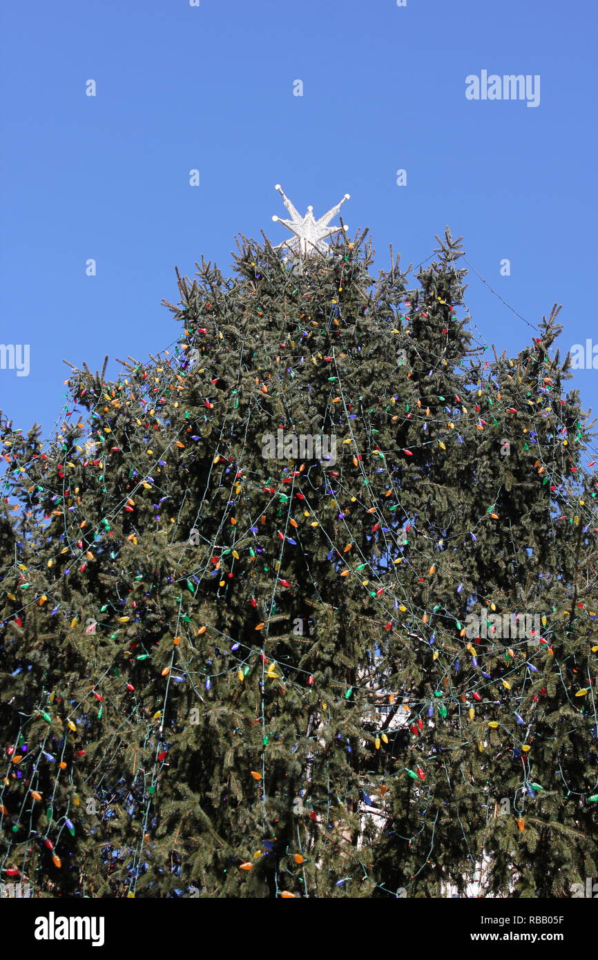 Chicago's official Christmas tree decorated with Christmas decorations