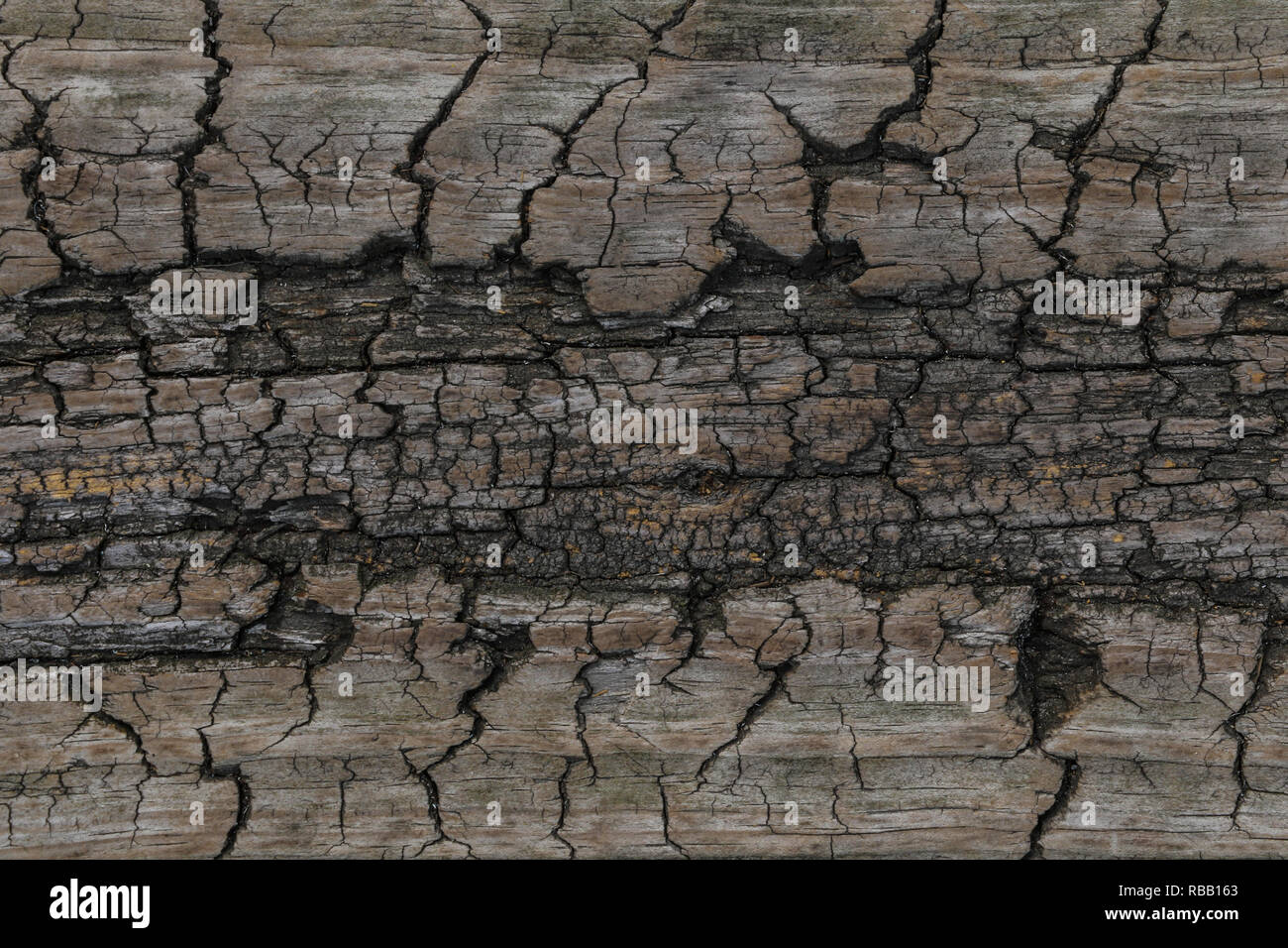 wood texture. background old panels Stock Photo