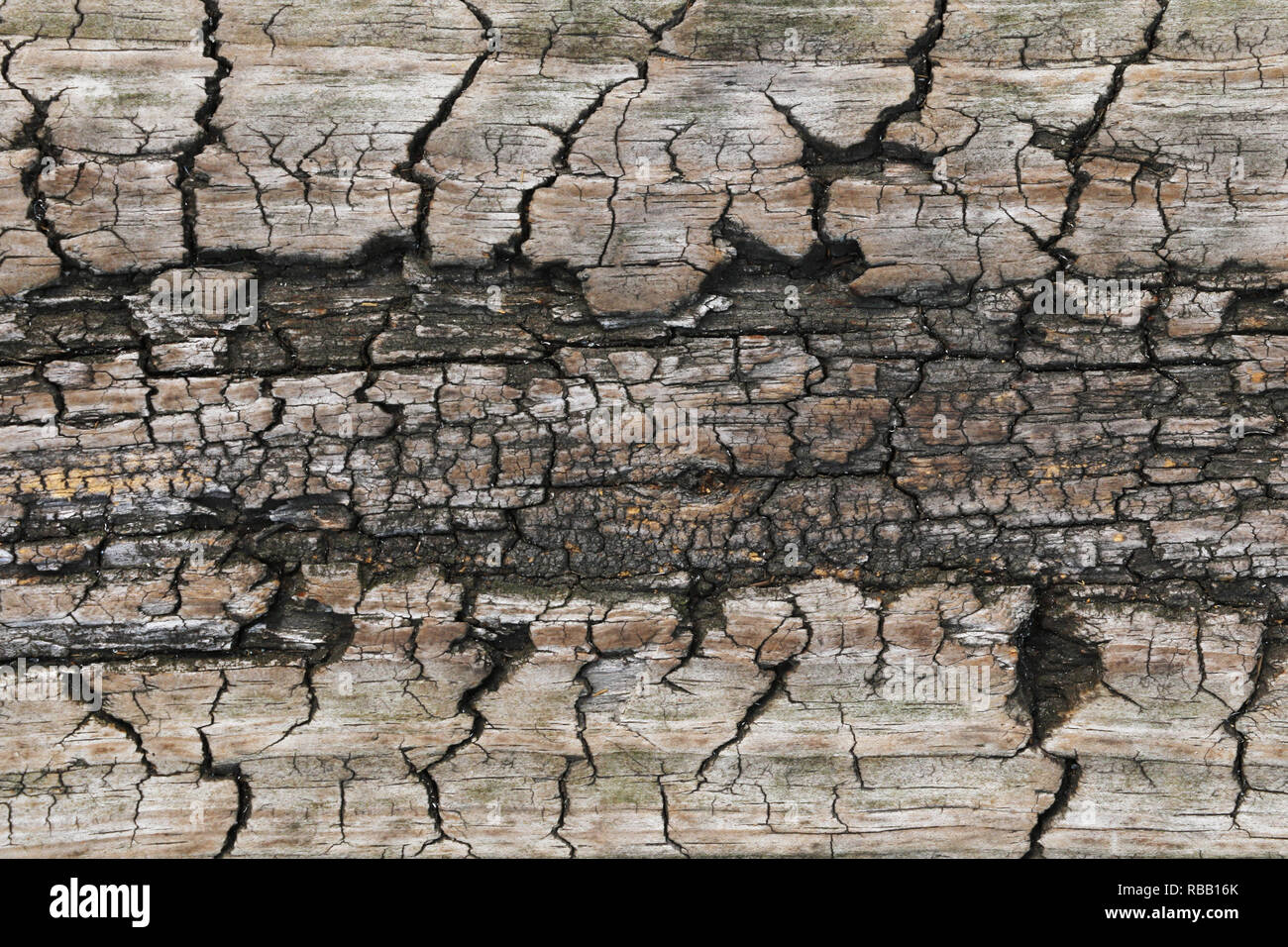 old wooden textures for web background. texture Stock Photo