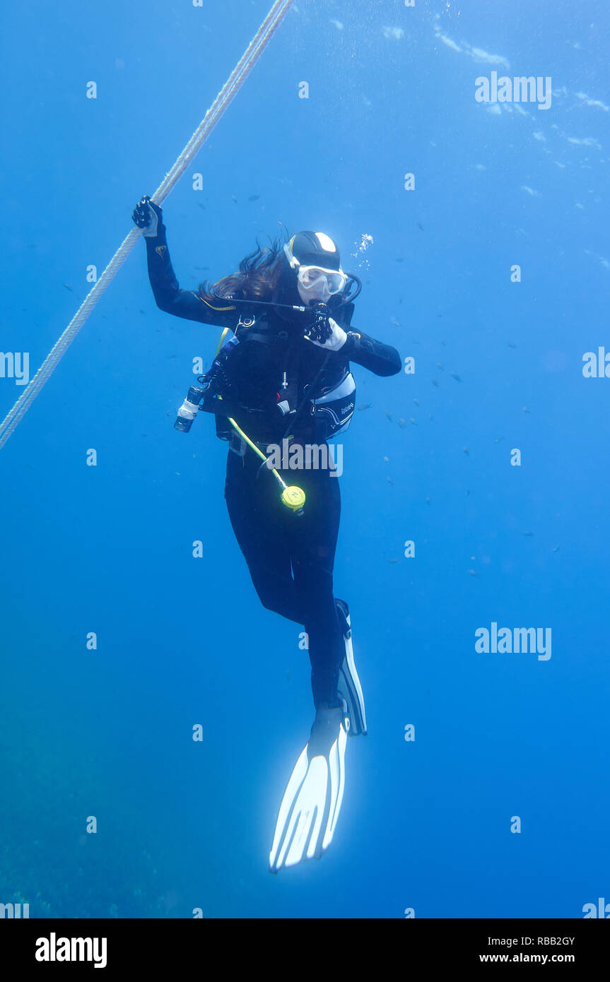 Female scuba diver at safety stop holding a safety line while reading