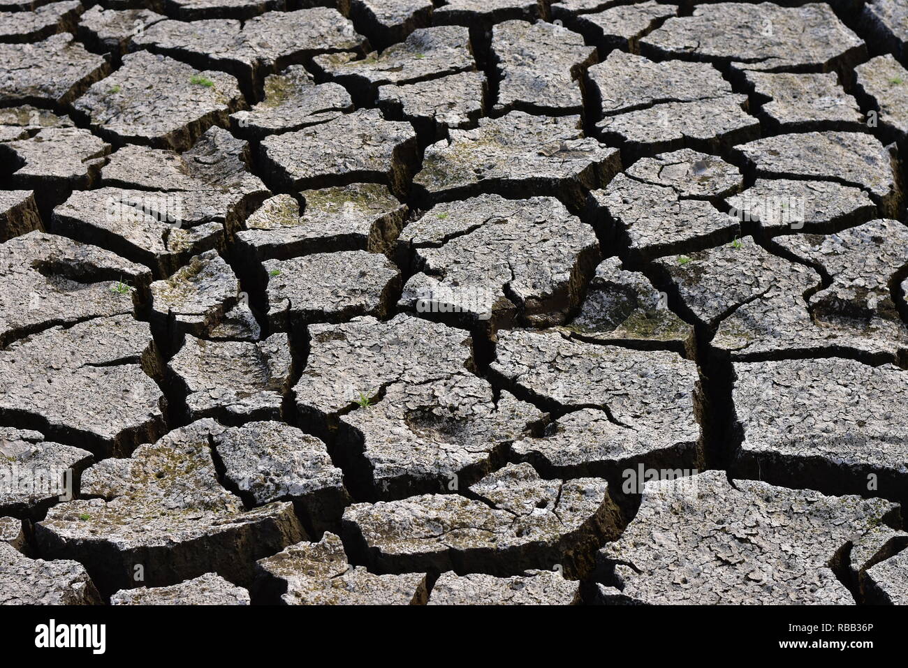 Dry season cracked ground and green grass Stock Photo - Alamy