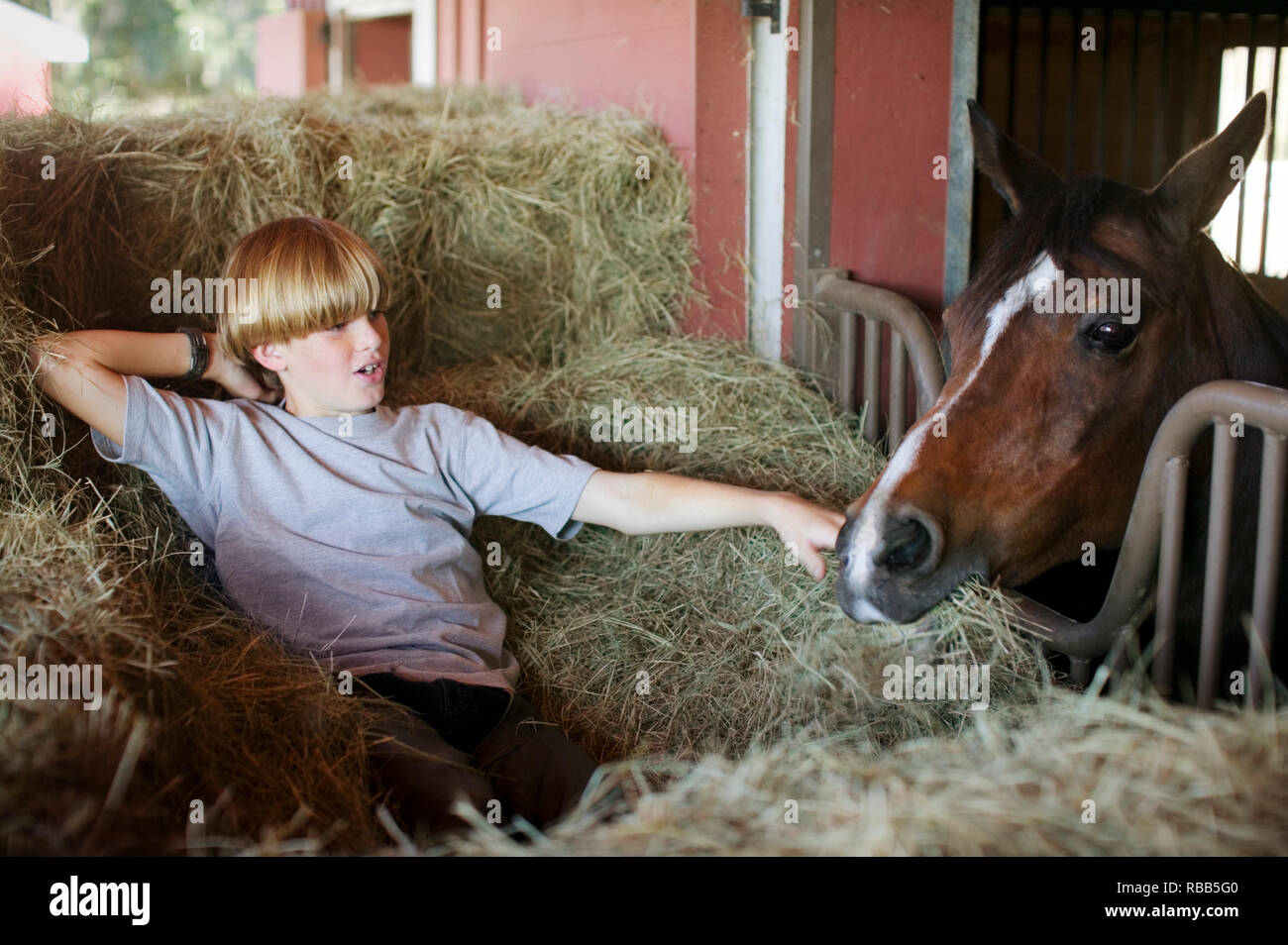 stable boy clipart