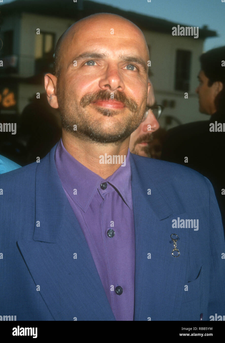 WESTWOOD, CA - JULY 29: Actor Joe Pantoliano attends Warner Bros