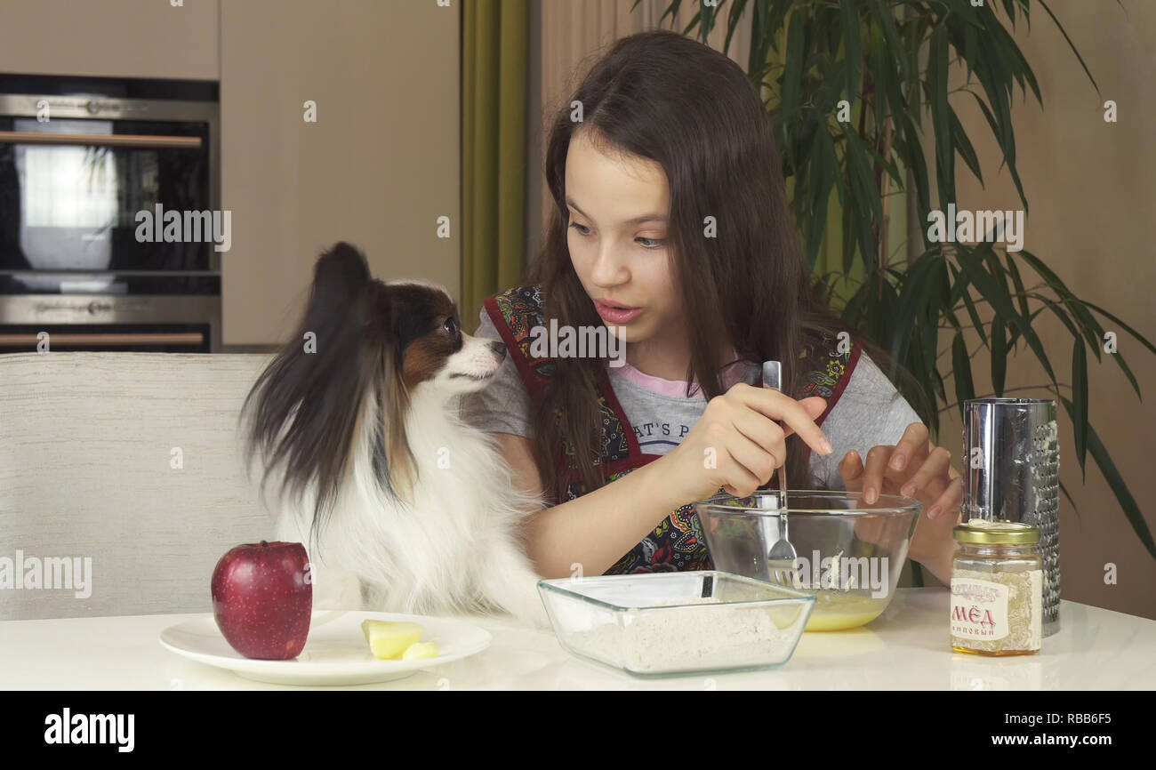 Teen girl with dog Papillon prepare cookies, knead the dough Stock Photo