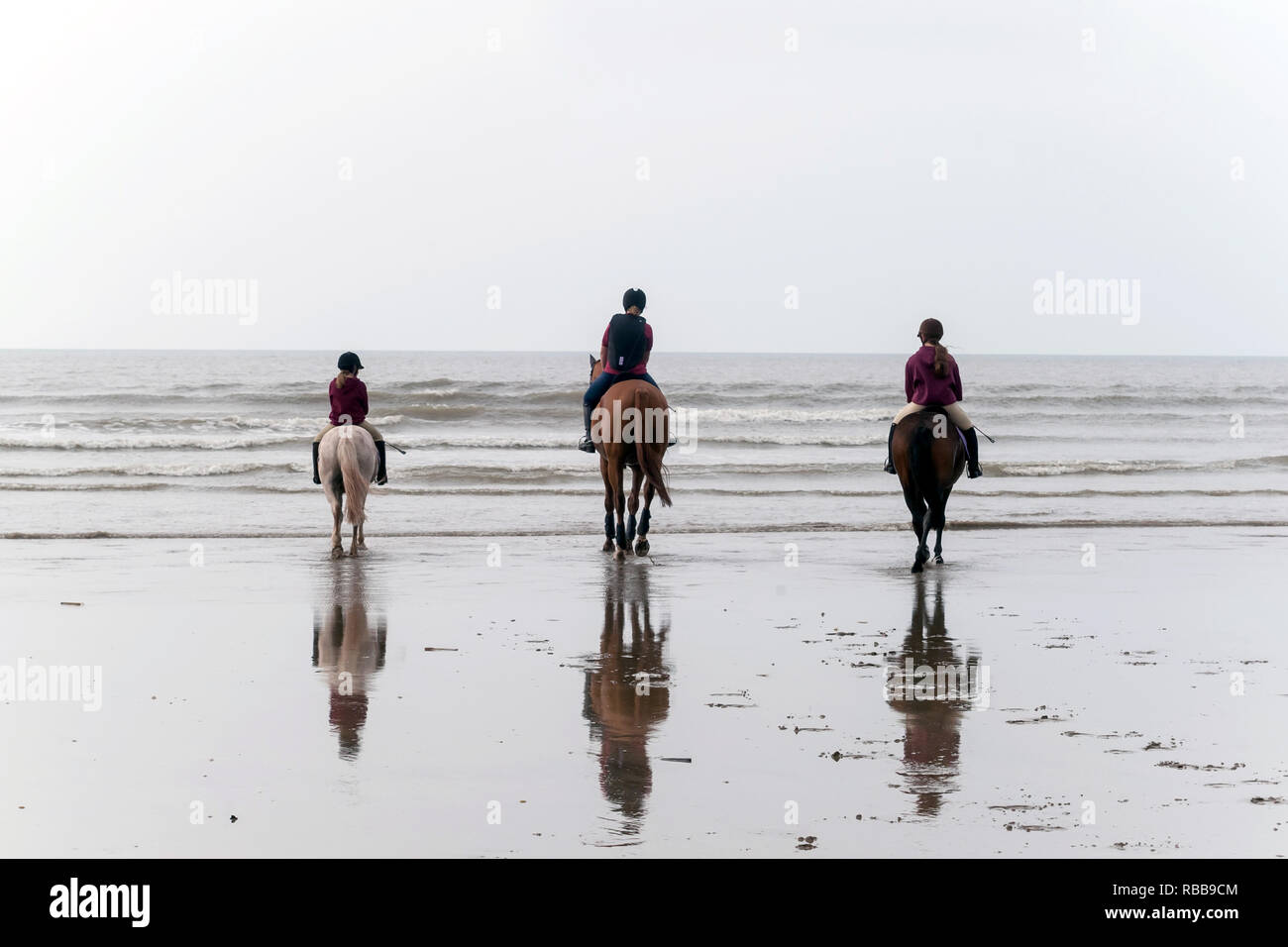 Three horses on beach ride. Stock Photo