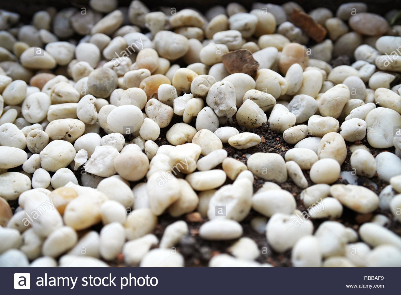 White Little Rocks In The Garden Stock Photo 230745741 Alamy