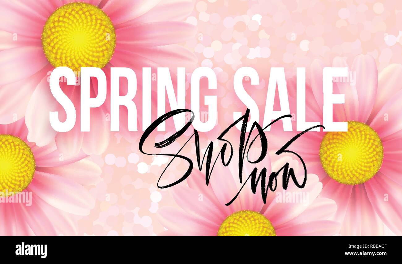 Spring sale concept. Summer background with pink daisy background. Vector illustration Stock Vector