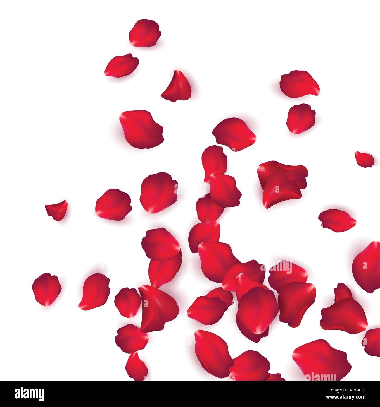 Falling red rose petals isolated on white background. Vector