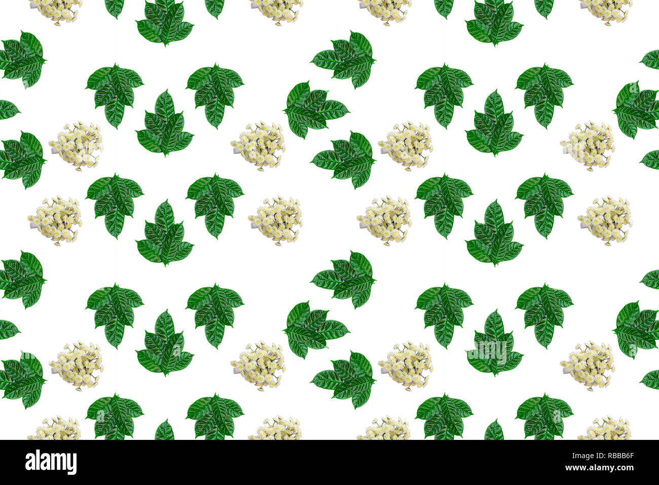 seamless green leaves and flowers pattern on white isolated background ...