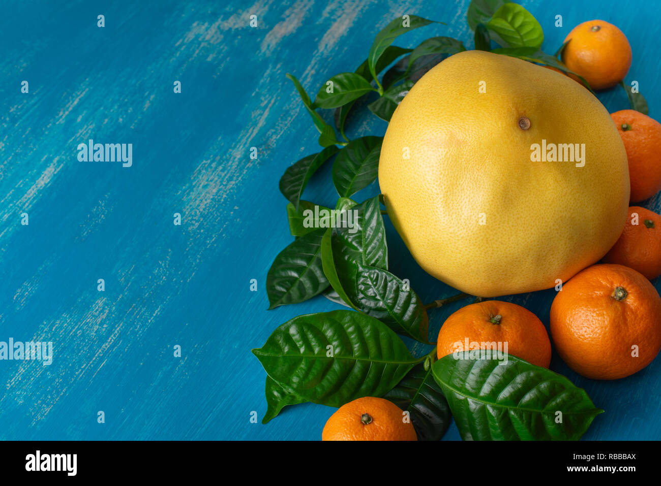 Ripe tangerines pomelo yellow with green leaves on a bright blue