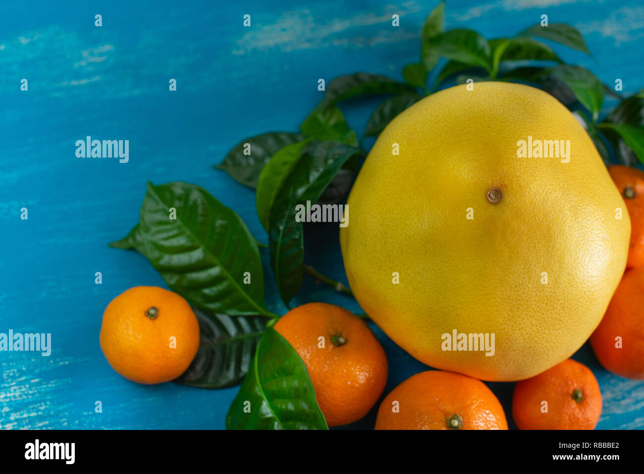 Ripe tangerines pomelo yellow with green leaves on a bright blue