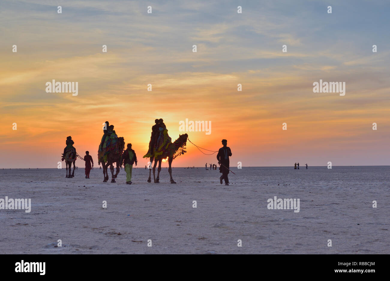 Visitors riding on camel in White Rann at Greater Rann of Kutch, Gujarat, India Stock Photo