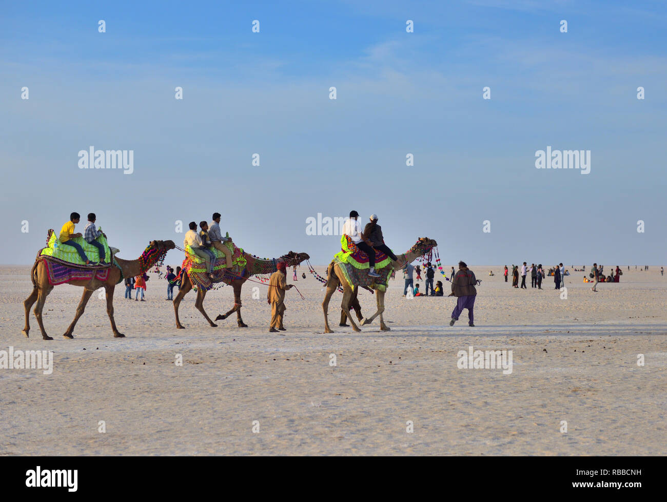 Tourist riding on Camel back in White Rann,  Gujarat, India Stock Photo