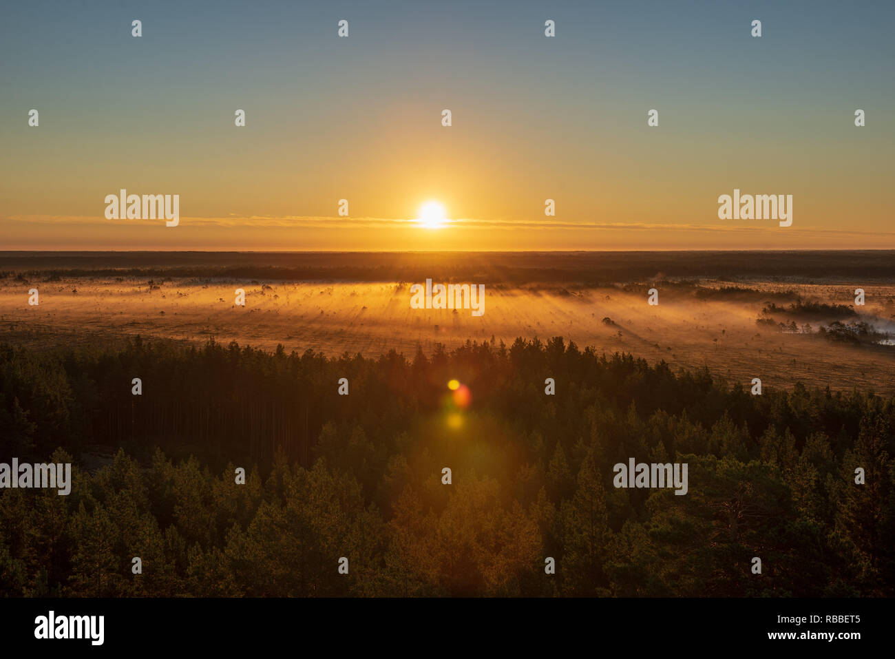 colorful misty sunrise over the forest with mist and light rays in fog ...