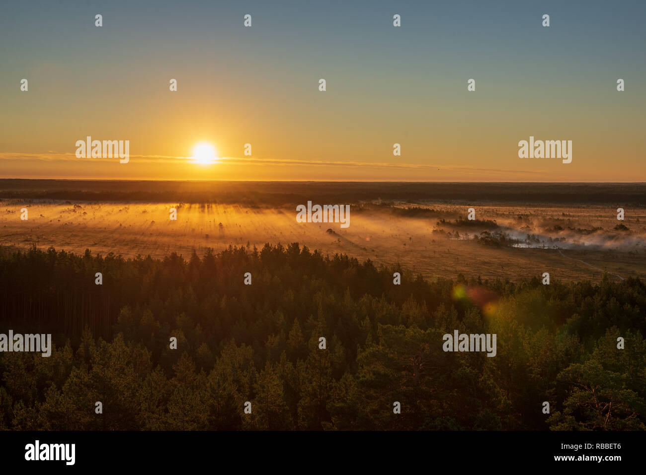 colorful misty sunrise over the forest with mist and light rays in fog ...