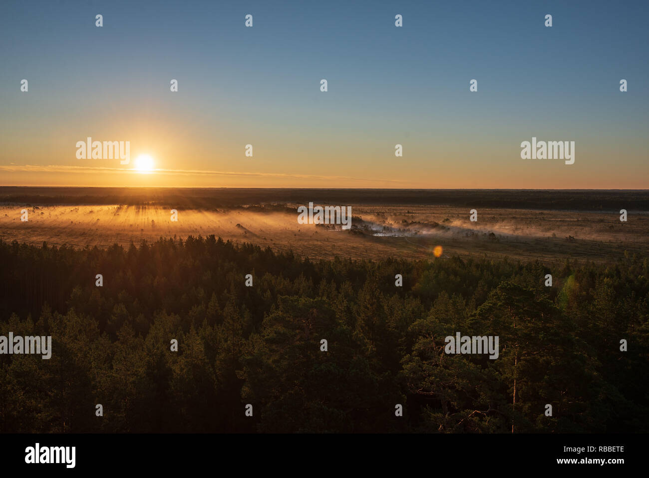 colorful misty sunrise over the forest with mist and light rays in fog ...